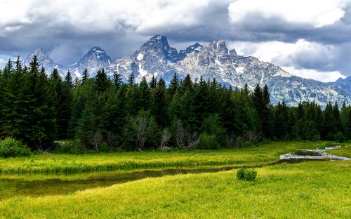 Image green grass field near trees and snow covered mountain during daytime