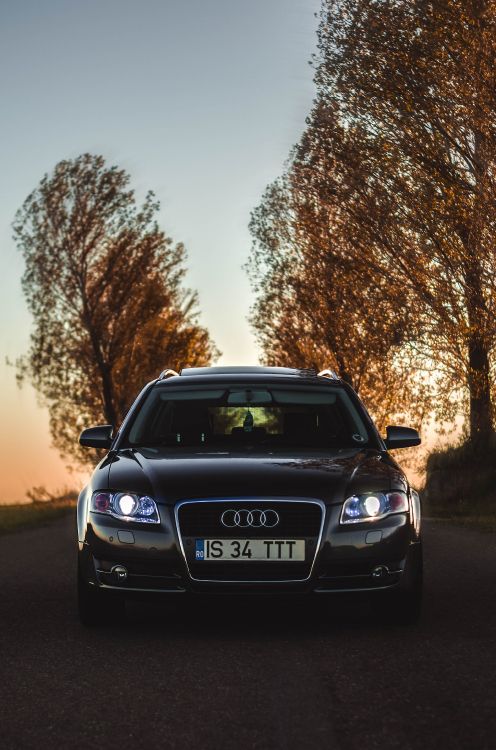 Audi A 4 Negro Estacionado en el Campo de Hierba Verde Durante la Puesta de Sol. Wallpaper in 3074x4641 Resolution