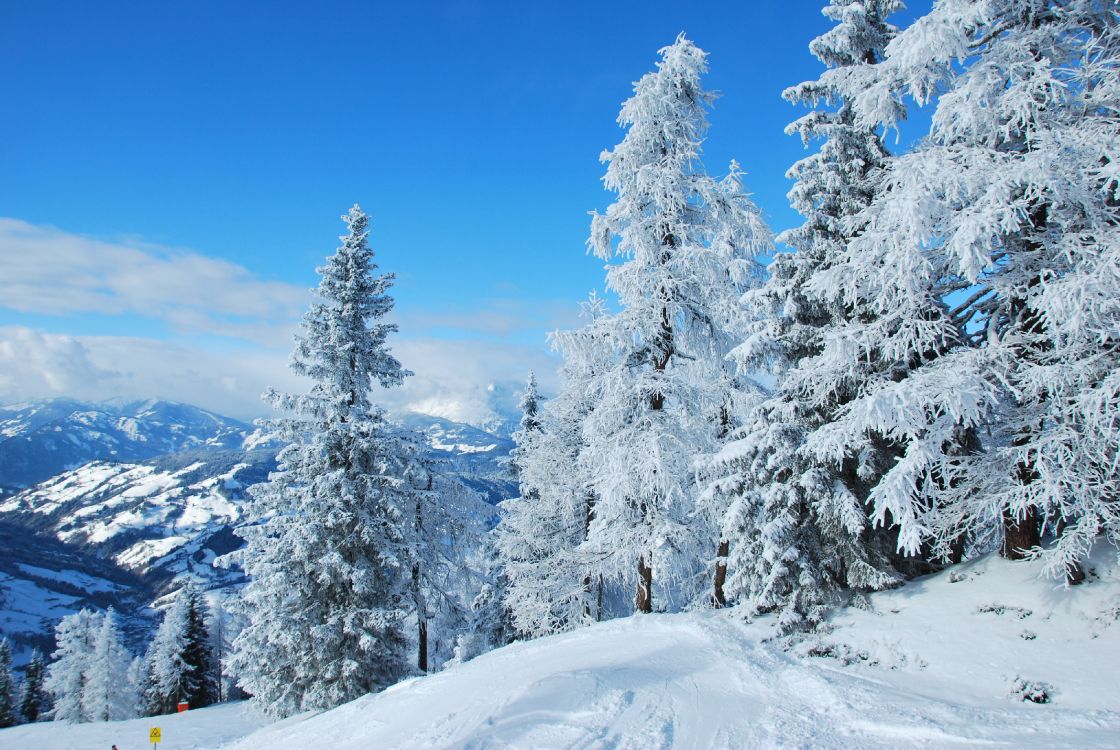 Árboles Cubiertos de Nieve y Montañas Durante el Día. Wallpaper in 3872x2592 Resolution