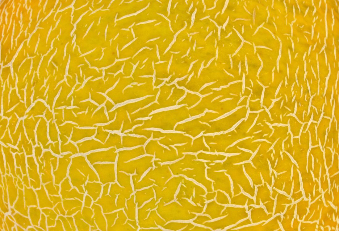 纹理映, 黄色的, 橙色, 网页, 纹理 壁纸 3000x2048 允许