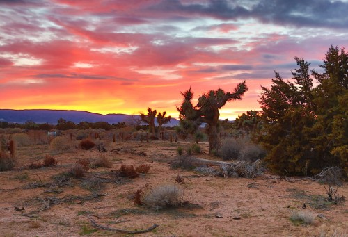 Image green grass field during sunset