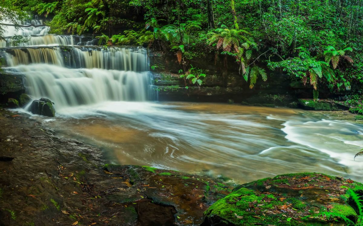 L'eau Tombe au Milieu de la Forêt. Wallpaper in 2880x1800 Resolution