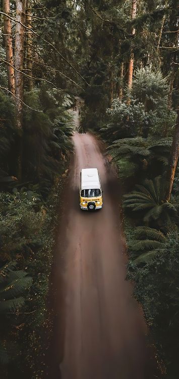 Antique Car, Rallye, Car, Tire, Rad. Wallpaper in 1421x3000 Resolution