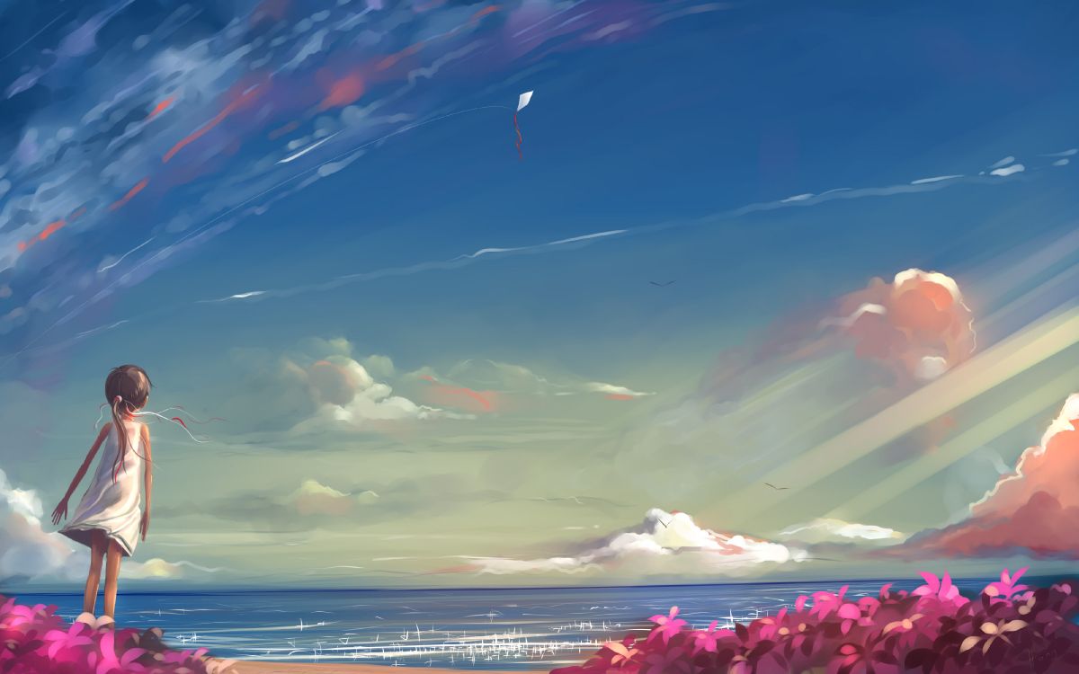  Anime Field With Sky Wallpaper Background HD Download  CBEditz