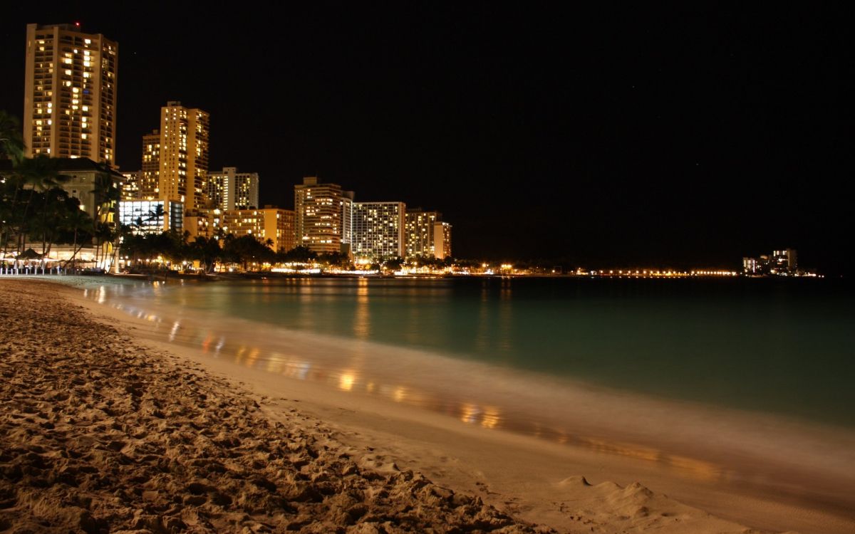 people on beach during night time