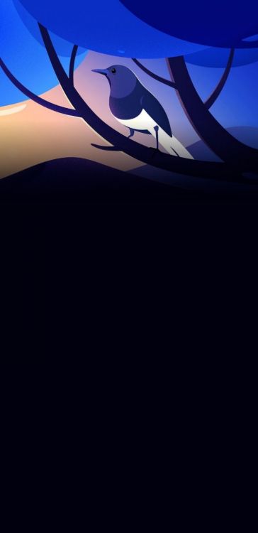 Illustration, Zeichnung, Design, Atmosphäre, Tageszeit. Wallpaper in 720x1480 Resolution