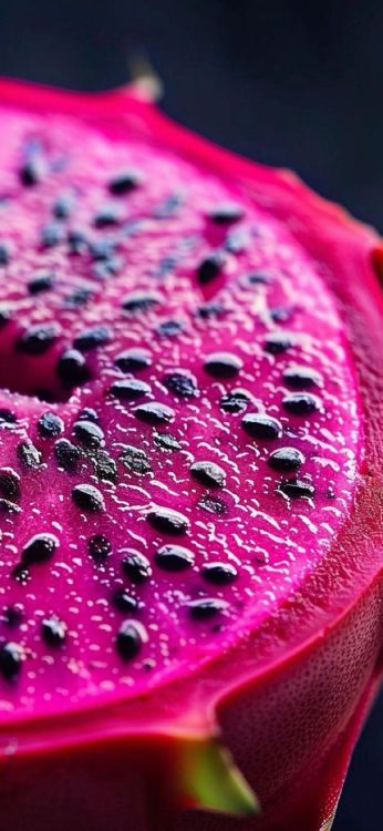 Fermer, Eau, Pétale, Purple, Plante Terrestre. Wallpaper in 1125x2436 Resolution