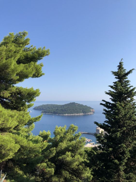 植被, 自然景观, Evergreen, 生物群落, 落叶松 壁纸 1536x2048 允许