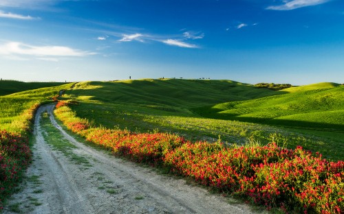 Image gray asphalt road between green grass field under blue sky during daytime