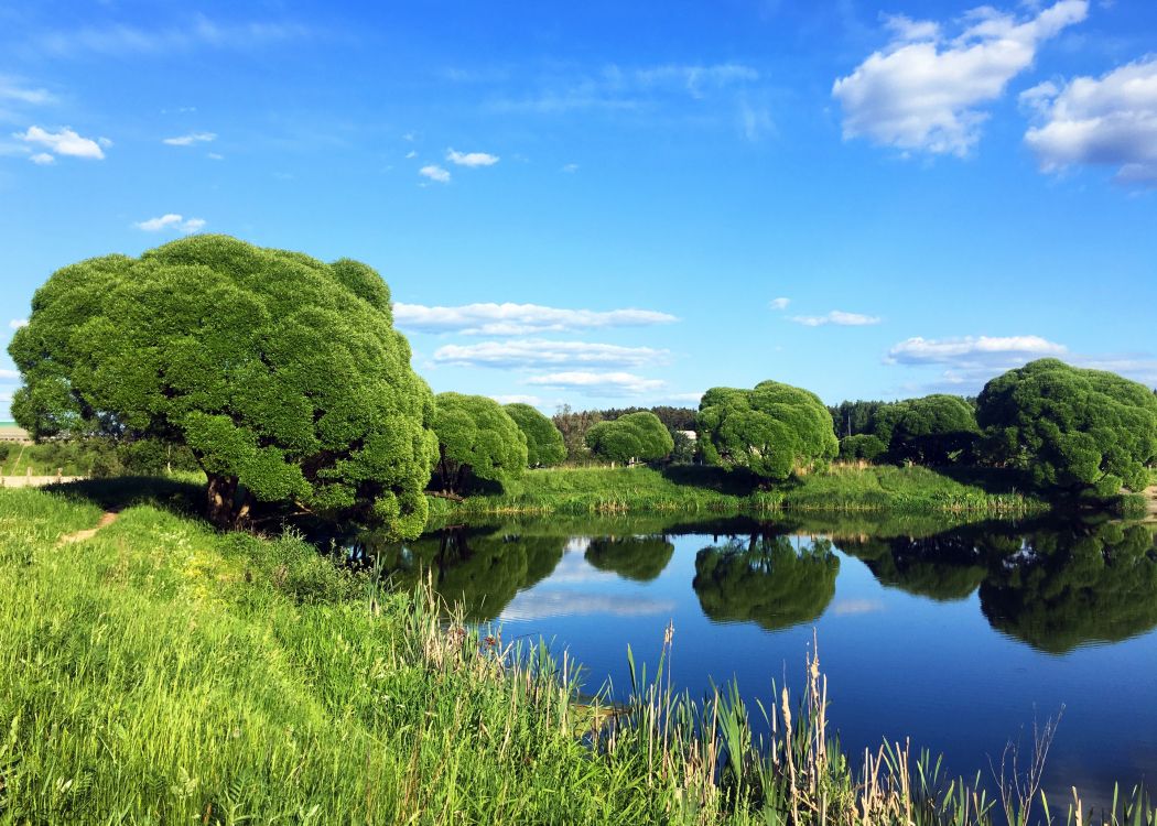 Arbres Verts Près du Lac Sous Ciel Bleu Pendant la Journée. Wallpaper in 2880x2057 Resolution