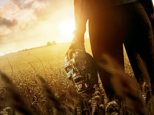 Image person in black helmet on brown field during daytime