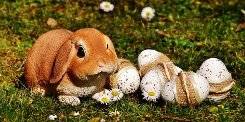 Image easter bunny, rabbit, grass, hare, easter egg