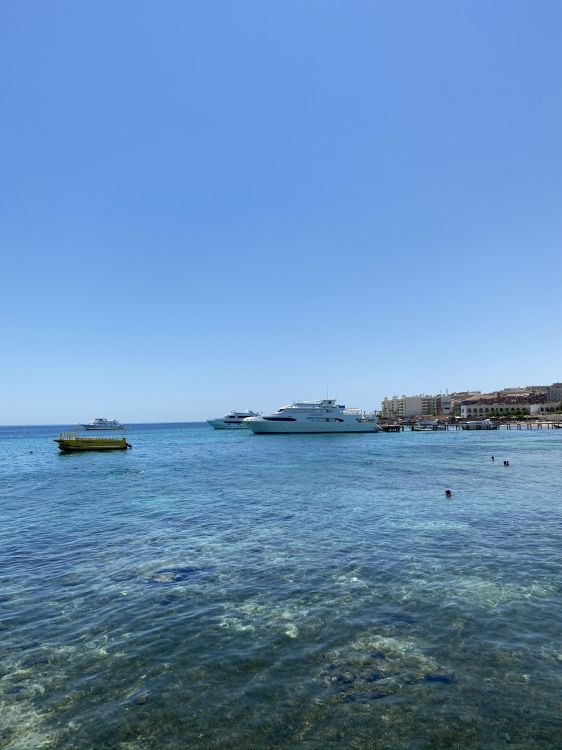 大海, 人体内的水, 性质, 多山的地貌, 海岸 壁纸 1536x2048 允许