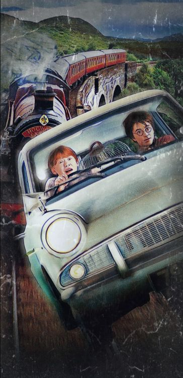 Harry Potter, Ron Weasley, Dobby, Hermione Granger, Cartel. Wallpaper in 1080x2220 Resolution