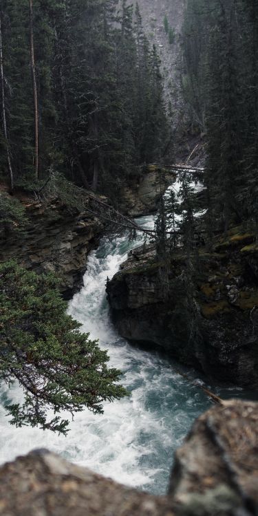 Natur, Wasser, Wasserressourcen, Naturlandschaft, Baum. Wallpaper in 1947x3894 Resolution