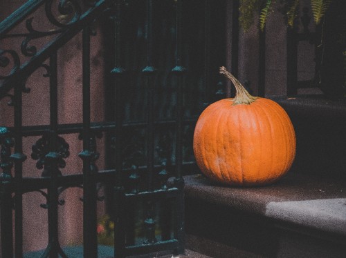 Image orange pumpkin on black metal fence