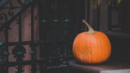 Image orange pumpkin on black metal fence