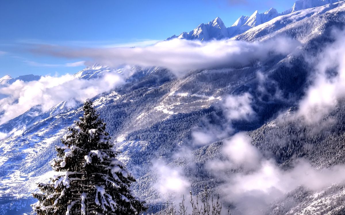 snow covered mountain during daytime