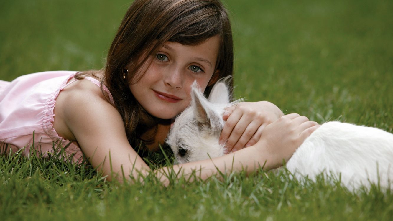 Mujer Recostada Sobre el Campo de Hierba Verde Con Gato Blanco. Wallpaper in 5120x2880 Resolution
