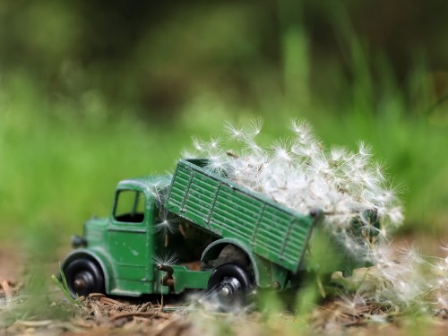 Image green truck with white flowers on top