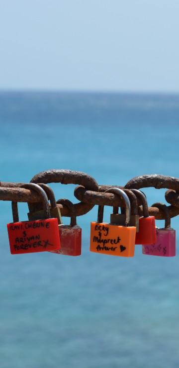 Image padlocks on gray metal fence during daytime