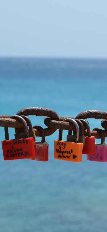 Image padlocks on gray metal fence during daytime