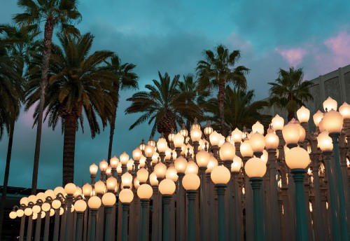 Image white paper lanterns on green palm trees under blue sky during daytime