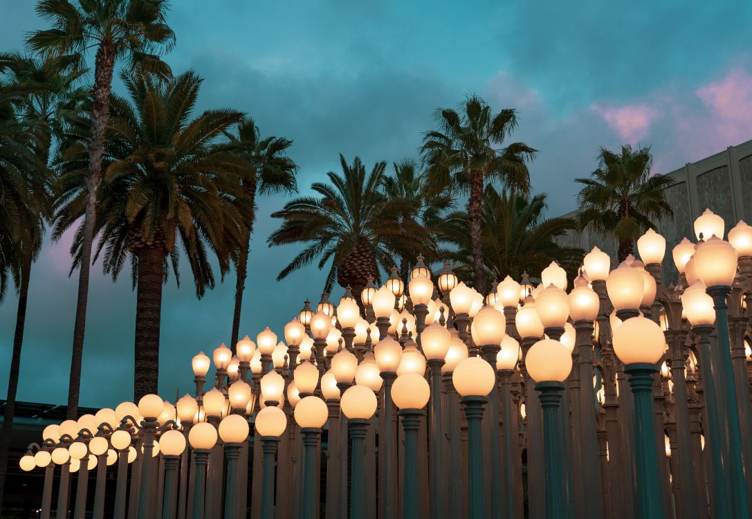 white paper lanterns on green palm trees under blue sky during daytime