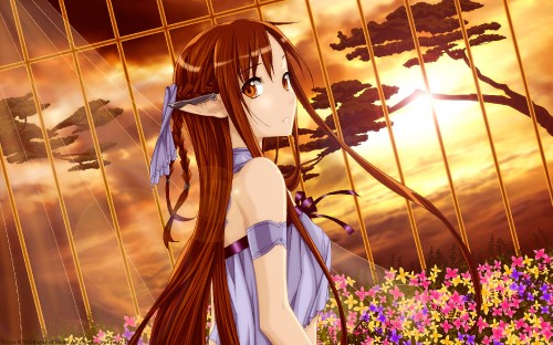 Image brown haired female anime character