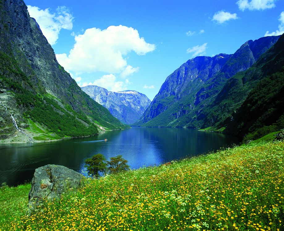 green grass field near lake under blue sky during daytime