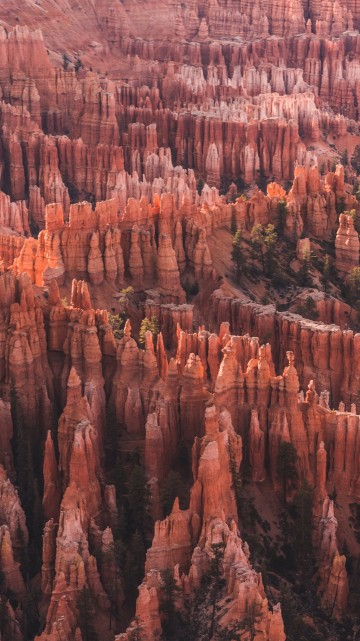 Image bryce canyon utah, Bryce Canyon City, Sunrise Point, national park, park
