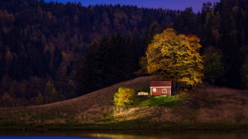 Image brown house near green trees and lake during daytime