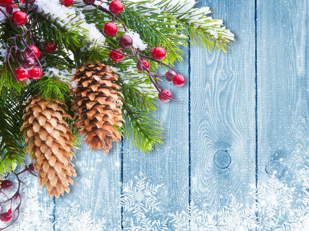 Weihnachtsbaum, Weihnachten, Christmas Ornament, Branch, Baum. Wallpaper in 2048x1536 Resolution