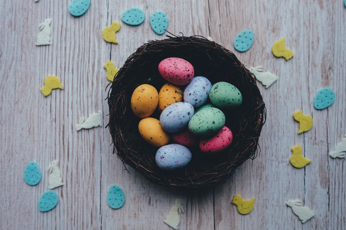 egg hunt, food, sweetness, food coloring, Cuisine