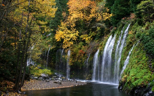 Image water falls in the forest