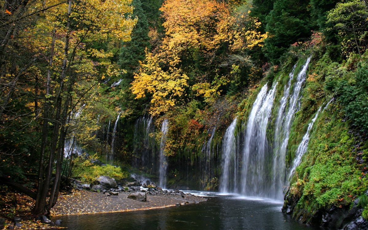 water falls in the forest