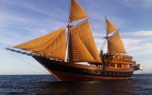 Image brown and white sail boat on sea during daytime