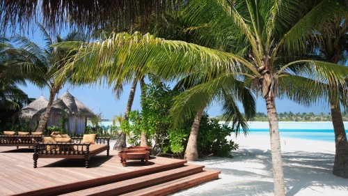 Image brown wooden lounge chairs on beach during daytime