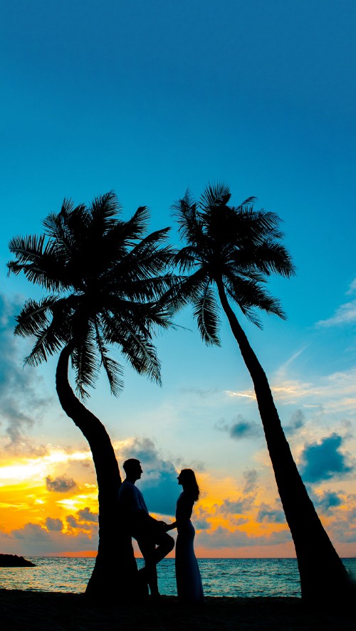 Couple In White Walking Hand In Hand On Beach In The Turquoise Waters  Background, Bet Making Honeymoon Maldives, Hd Photography Photo, Maldives  Background Image And Wallpaper for Free Download