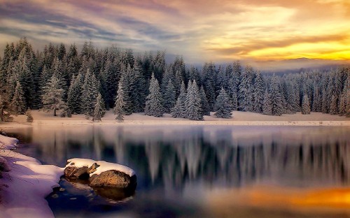 Image snow covered trees and lake during daytime