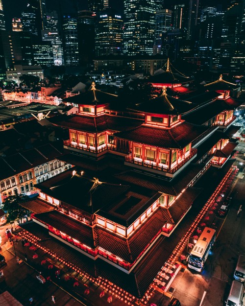 Image red and black temple during night time