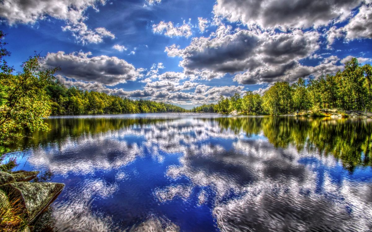 Arbres Verts à Côté D'un Plan D'eau Sous un Ciel Bleu et Des Nuages Blancs Pendant la Journée. Wallpaper in 2560x1600 Resolution