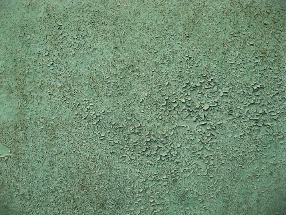 green and white concrete wall