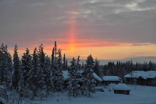 Image snow covered pine trees during sunset