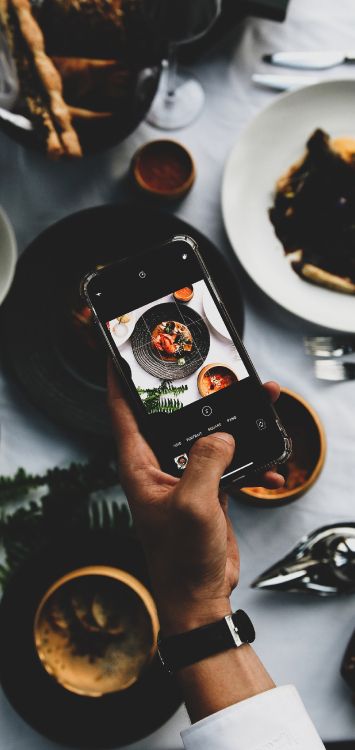 Gericht, Die Französische Wäscherei an Sich, Mexikanische Küche, Restaurant, Kochbuch. Wallpaper in 1515x3200 Resolution