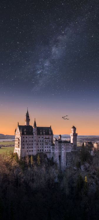 el Castillo de Neuschwanstein, Fssen, Castillo, Palacio, Edificio. Wallpaper in 1080x2400 Resolution