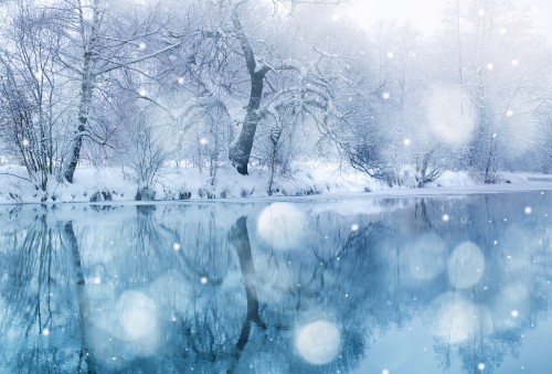 Anime Winter Background Images Browse 3351 Stock Photos  Vectors Free  Download with Trial  Shutterstock