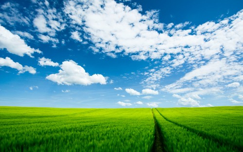 Image green grass field under blue sky and white clouds during daytime