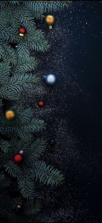 Nochevieja, Navidad, El Día De Navidad, Adorno de Navidad, Ramita. Wallpaper in 1170x2532 Resolution