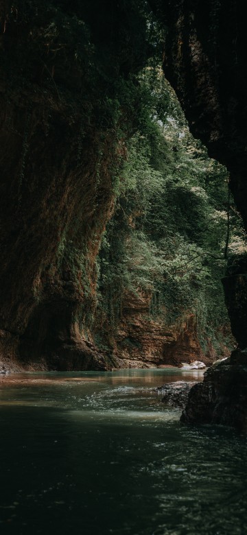Image Trunk, rock, formation, tree, forest